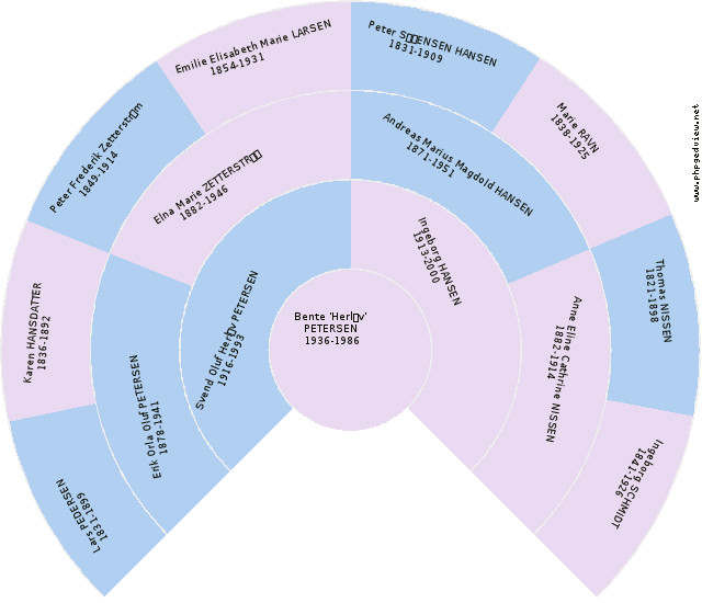 Jacob Petersen RAVN Circle Diagram
